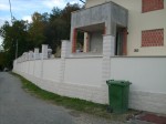 IMG_0919