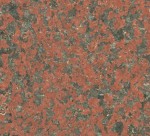 Africa Red
