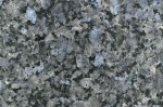 Labrador TFV