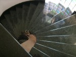 IMG_0942
